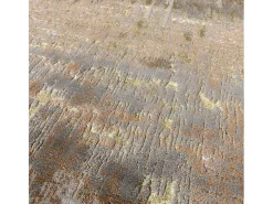 Alfombra abstrata - 160x230cm - dourado, marrom, bege - Aurora Dune