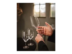 Conjunto de 6 Copos de Pé 45 cl Coleção Evidence por Chef&Sommelier