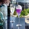 Conjunto de 6 Flûtes de Vinho 16 cl Symétrie Chef & Sommelier