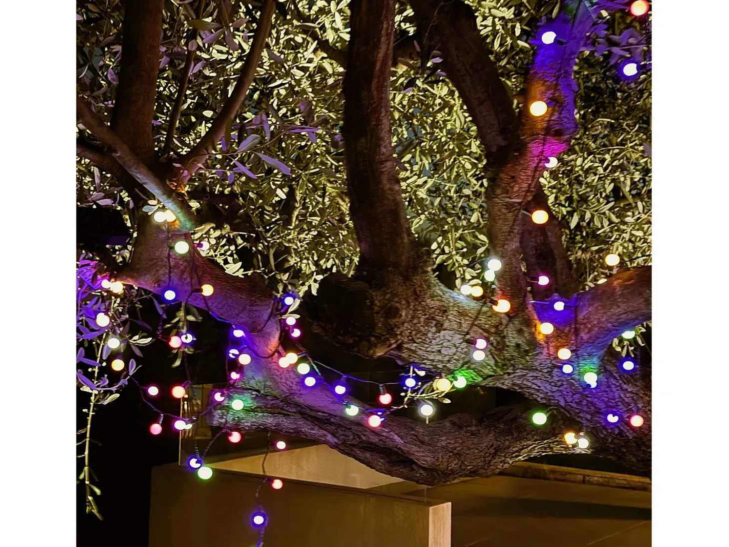 Luzes de corda solares 100LED BILLY