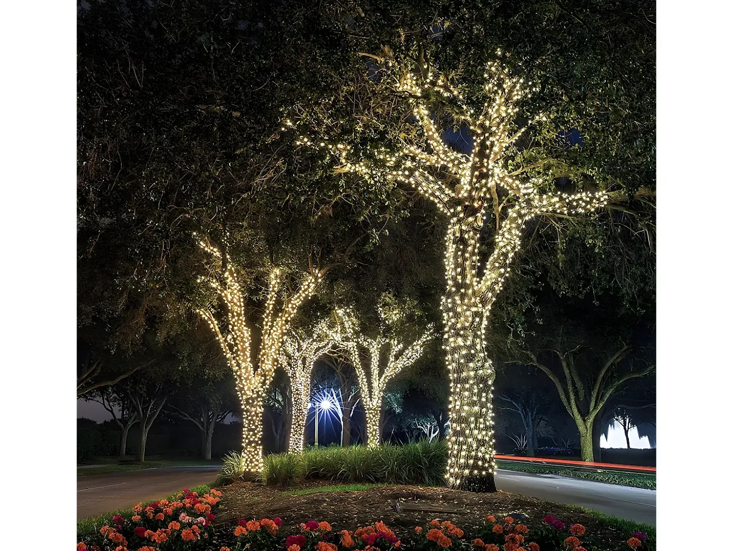 Luzes de corda solares 400LED YOGY