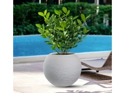Vaso Botticelli bege em resina, formato esférico, para plantas de interior e exterior, 40x33 cm